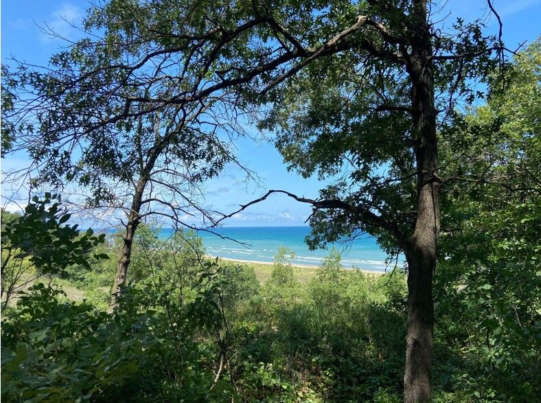 Looking to escape the city this summer? Here are some of the best day trips from Chicago